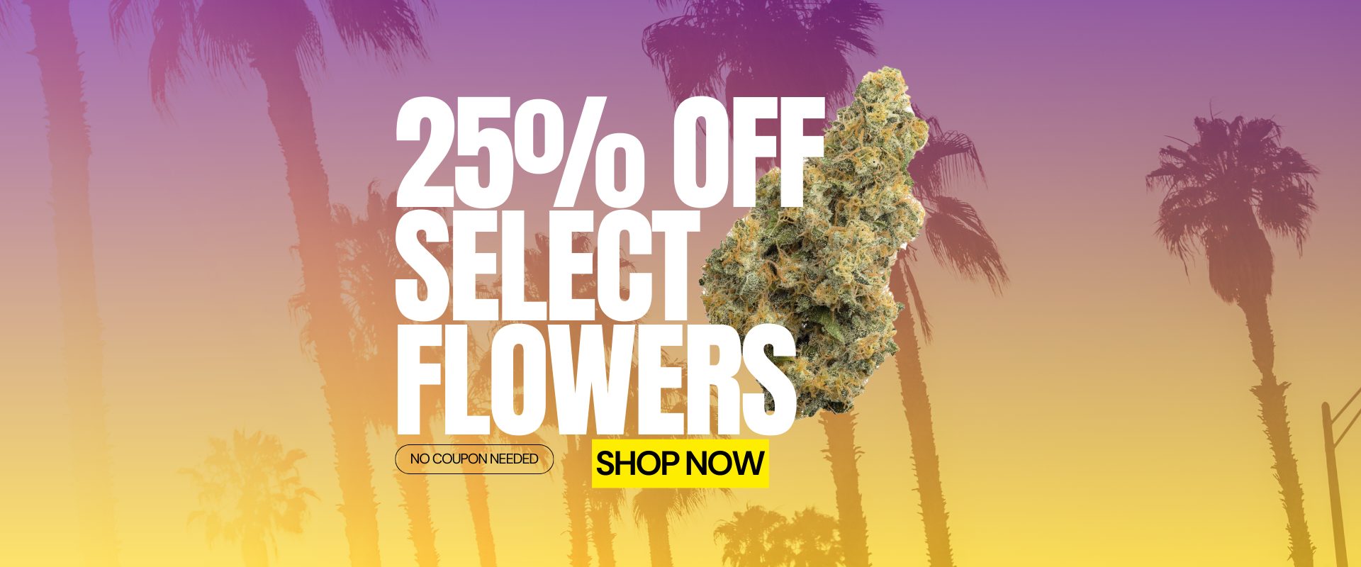 sales banner